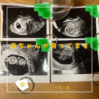 画像264