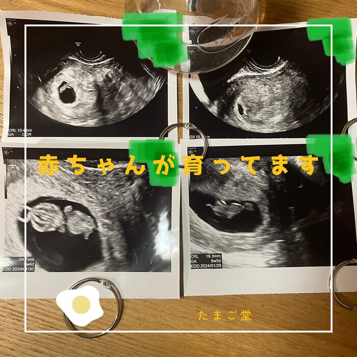 画像264