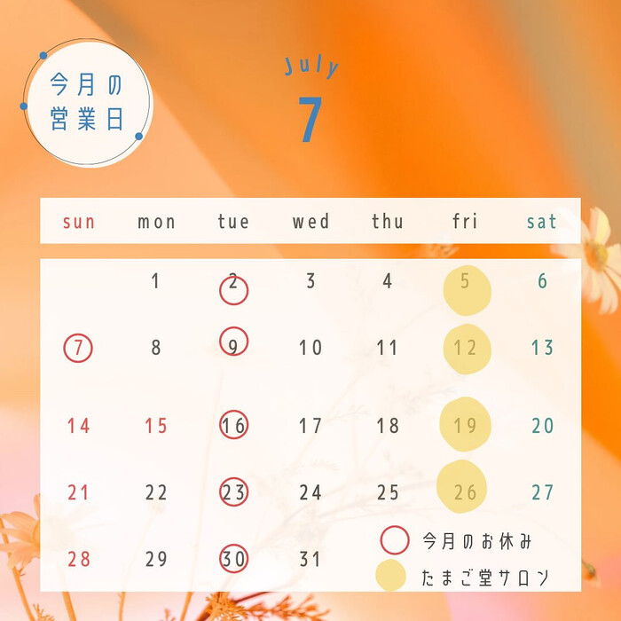 画像798
